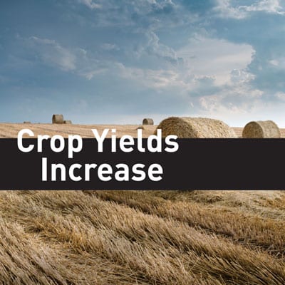 crop-yields