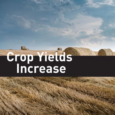 crop-yields crop-yields