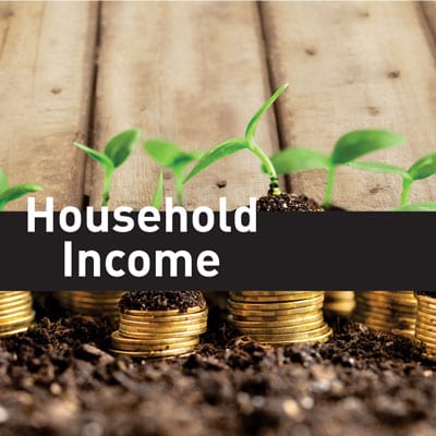 house-hold-income house-hold-income