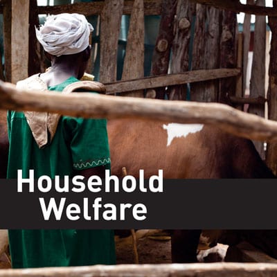 household-welfare
