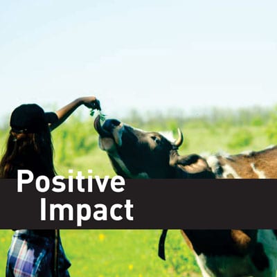 positive-impact positive-impact